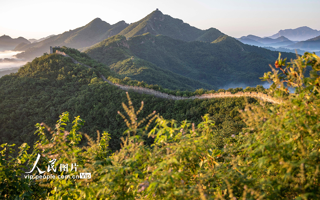 河北秦皇岛：长城云海 美景如画【3】