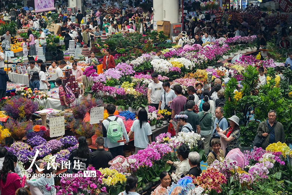 云南昆明：斗南花市鲜花俏销【3】
