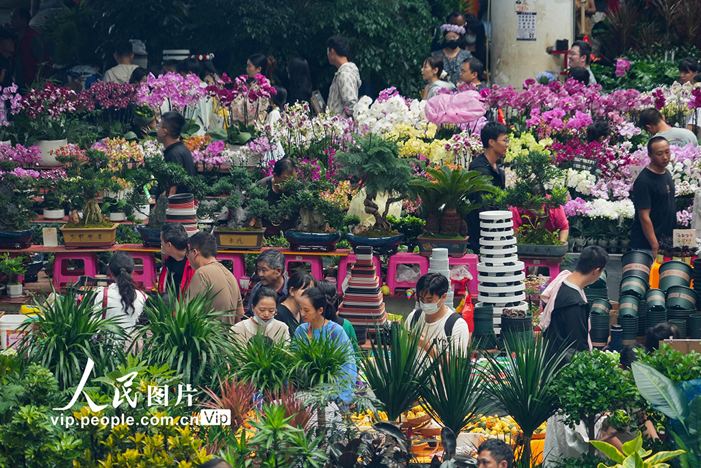 云南昆明：斗南花市鲜花俏销【4】