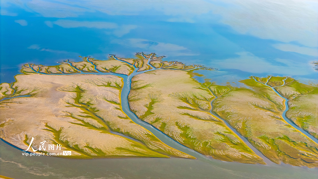 江西都昌：鄱阳湖现“大地之树”景观【2】