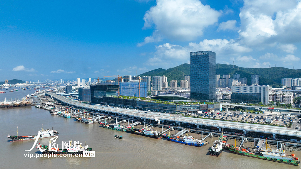 浙江舟山：梭子蟹丰收【5】