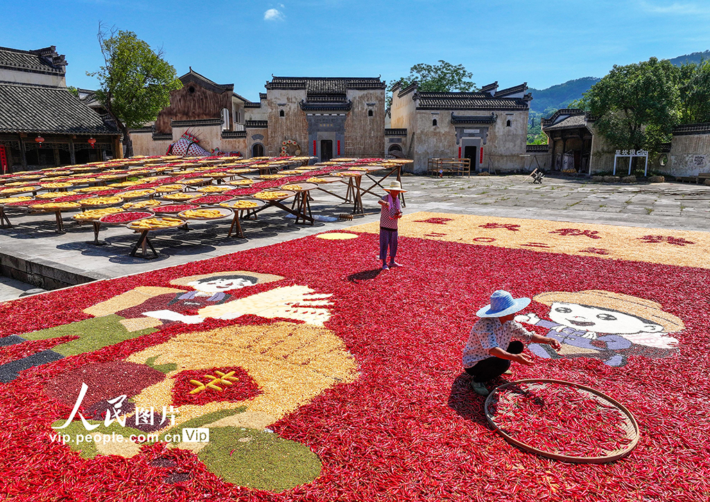 安徽黄山:古村晒秋忙 五彩映丰收【6】