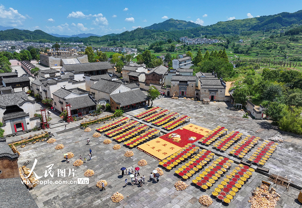 安徽黄山：古村晒秋忙 五彩映丰收【9】