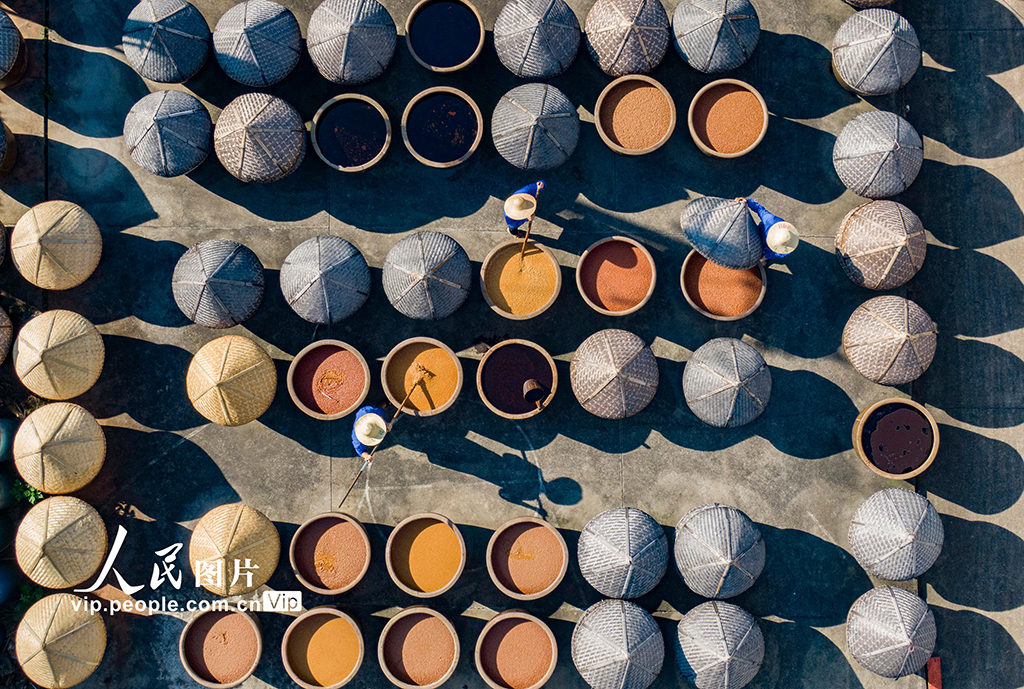 浙江金华:酱油酿晒忙【3】