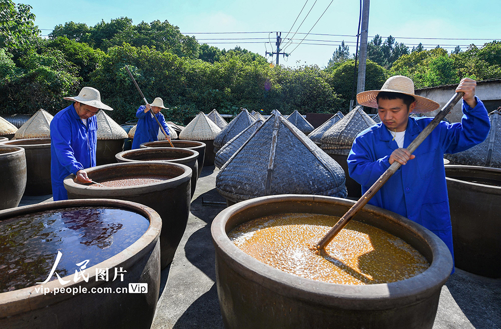 浙江金华：酱油酿晒忙【6】