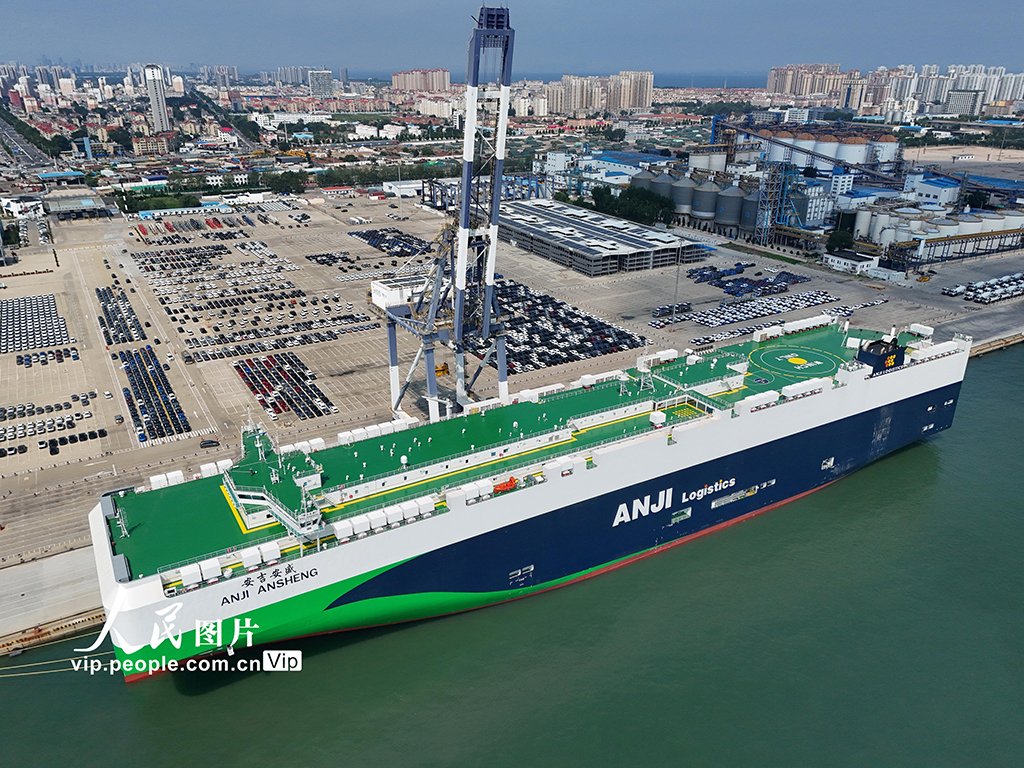 山东烟台：全球最大9500车位汽车运输船抵港装车【7】