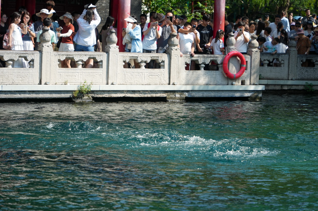 8月22日，人们在济南趵突泉观赏泉水。