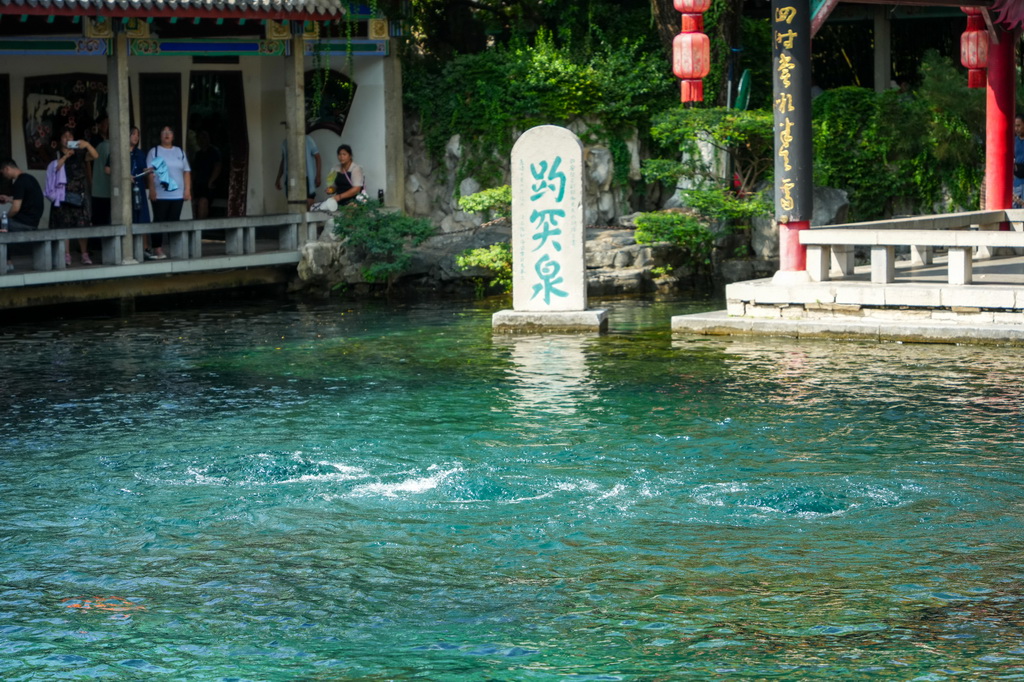 8月22日拍摄的济南趵突泉。