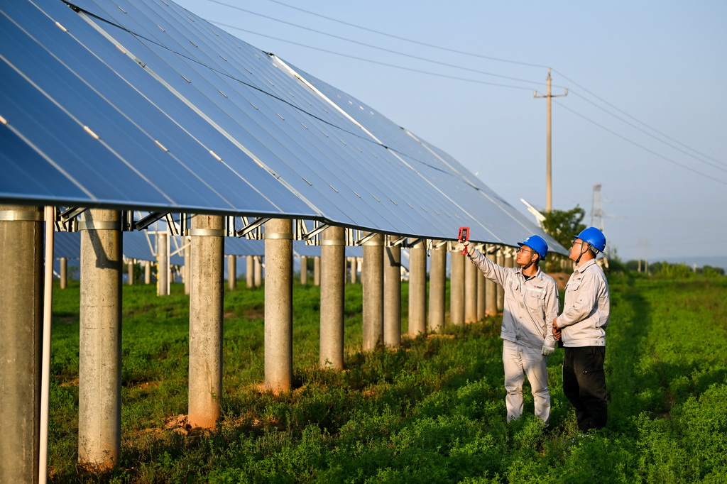 工人在天骄绿能50万千瓦采煤沉陷区生态治理光伏发电示范项目区巡查光伏板（7月30日摄）。