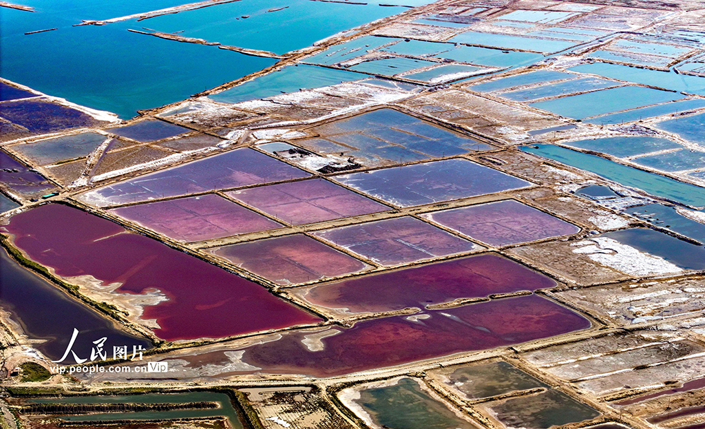 内蒙古鄂尔多斯：芒乃淖尔盐湖景色迷人引客来【3】
