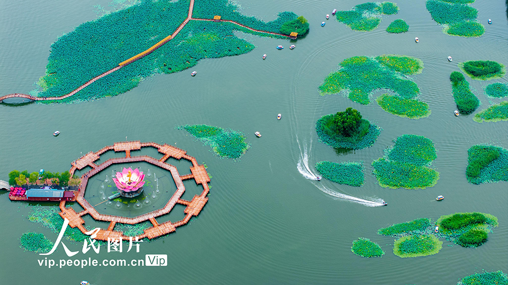 乐游白洋淀【3】