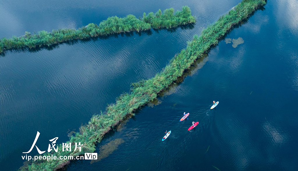 乐游白洋淀【5】