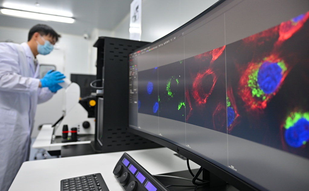 8月27日,三亚崖州湾科技城月亮岛综合实验室的工作人员在操作激光共聚焦显微镜。海口海关实验室总面积5.6万平方米,主要分布在海口、三亚,共有8栋实验室大楼。三亚崖州湾科技城月亮岛综合实验室是其中之一。