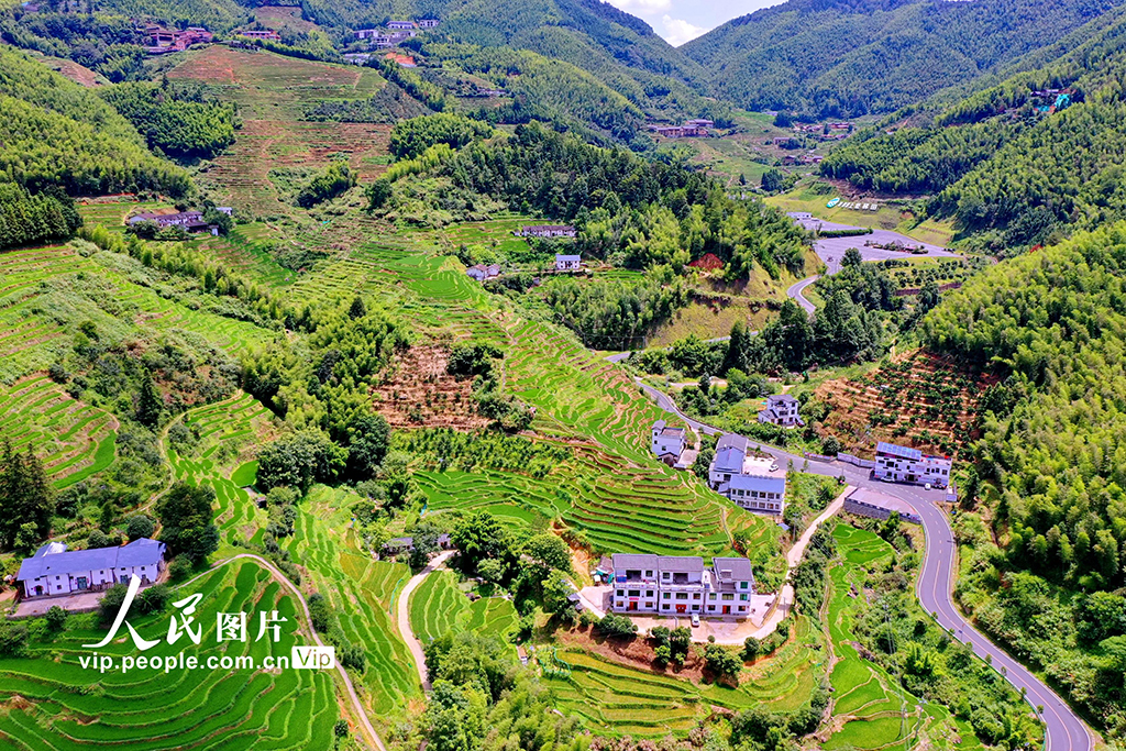 江西崇义：初秋梯田景如画【6】