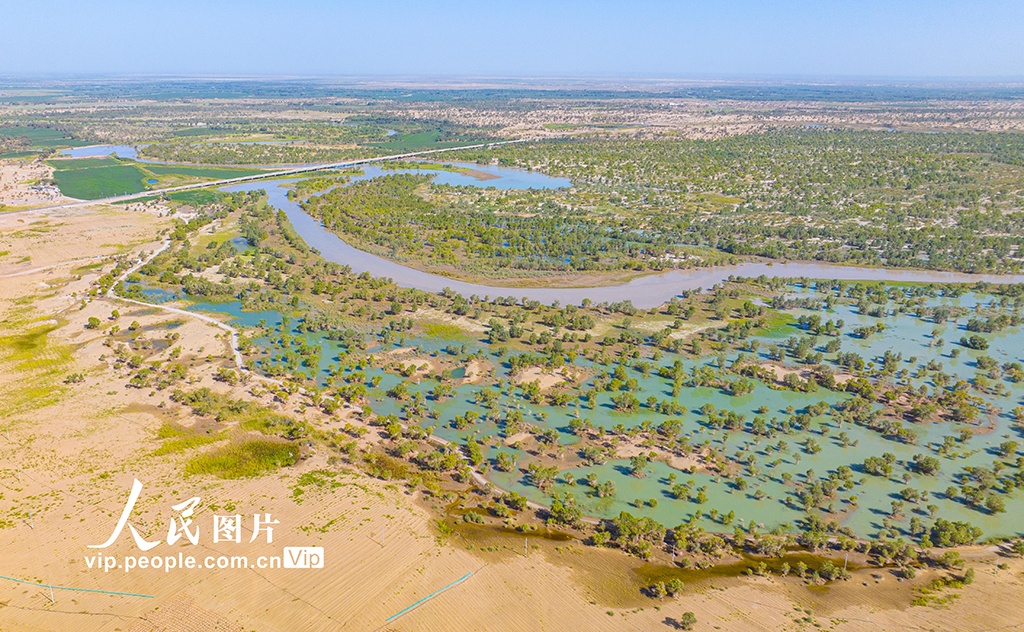 新疆尉犁：水丰林茂 生态环境持续向好【2】
