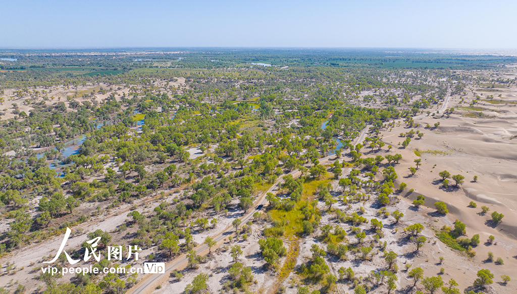 新疆尉犁：水丰林茂 生态环境持续向好【5】