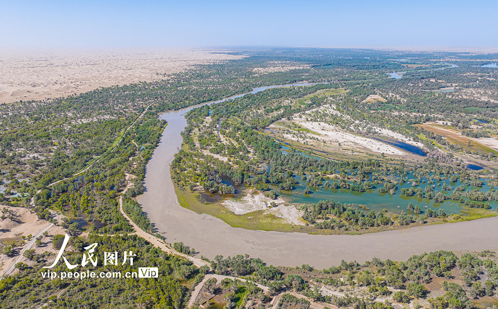 新疆尉犁:水丰林茂 生态环境持续向好【6】