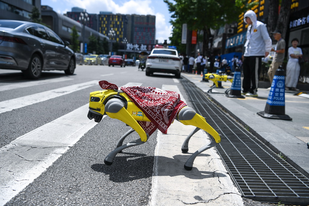 8月28日，机器狗在数博会展馆附近过马路。新华社记者 杨文斌 摄