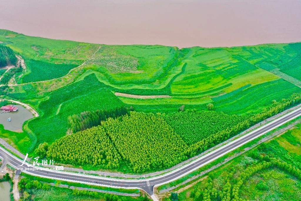 山西平陆:黄河岸畔景美如画【5】