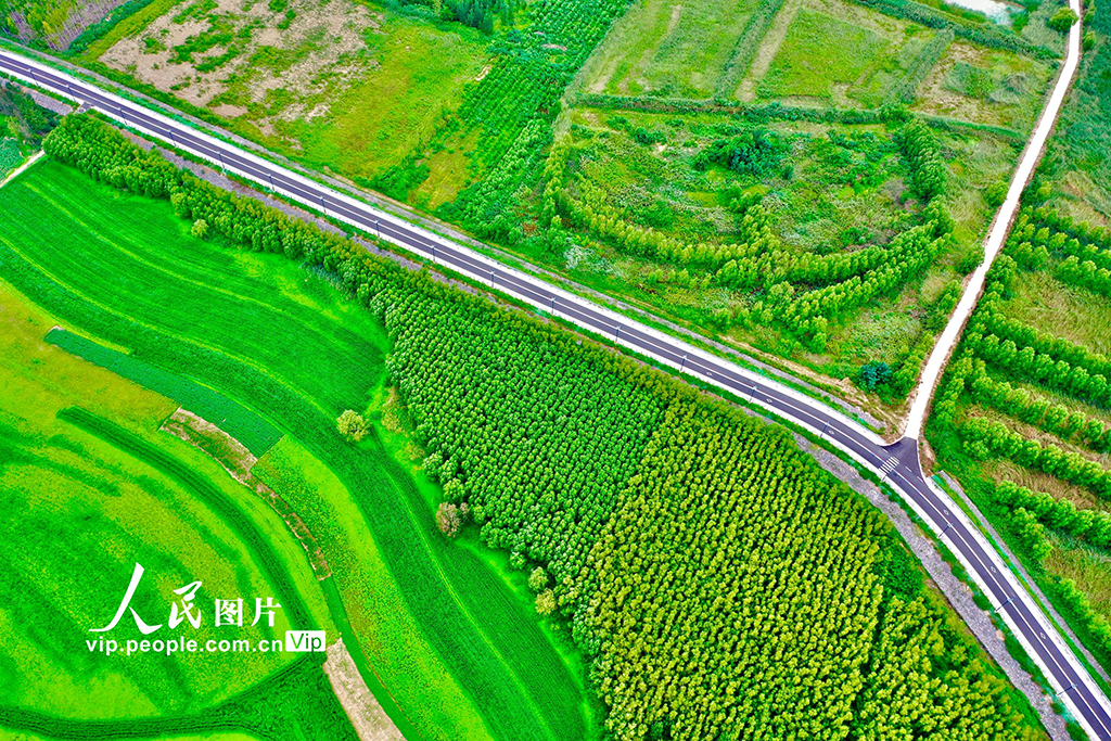 山西平陆：黄河岸畔景美如画【6】