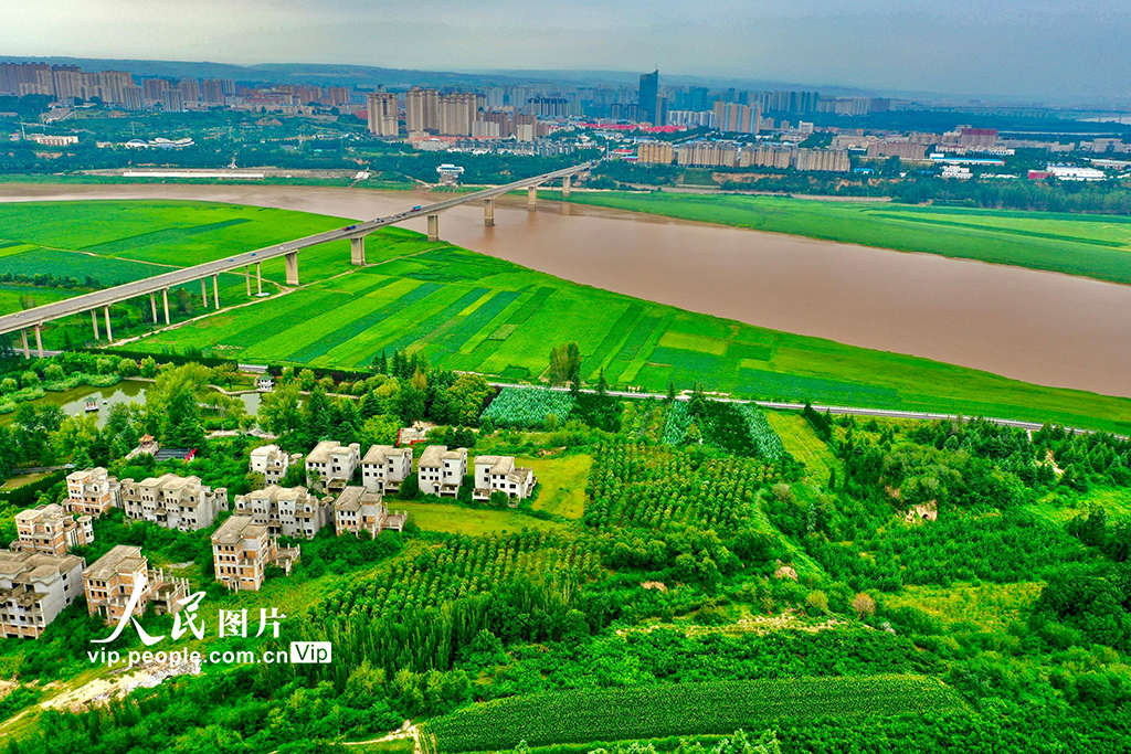 山西平陆:黄河岸畔景美如画【7】