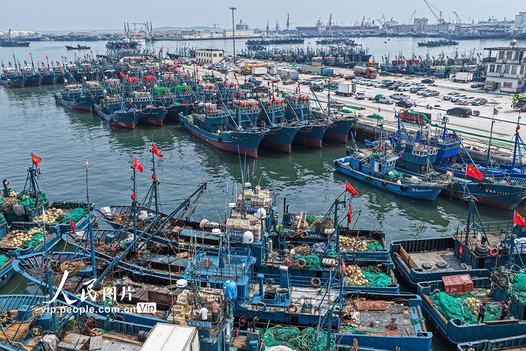 山东荣成：迎开海 备秋捕【4】