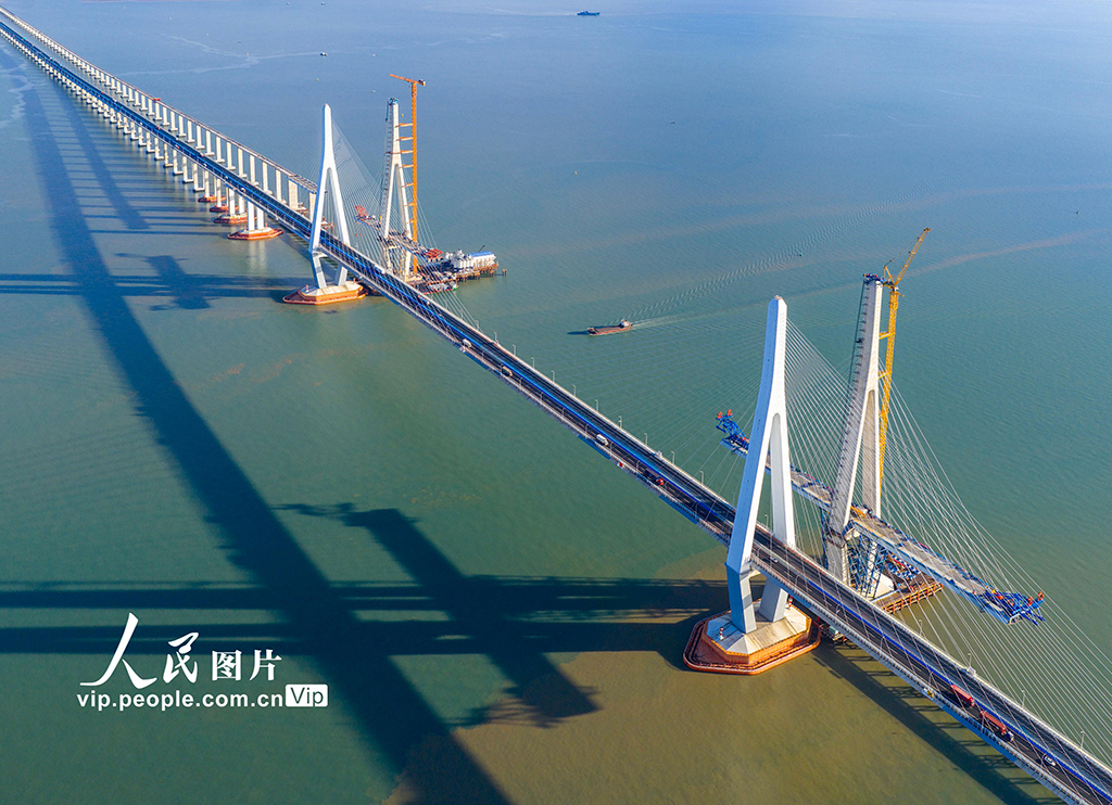 浙江宁波:市域铁路象山港跨海大桥建设正酣【6】