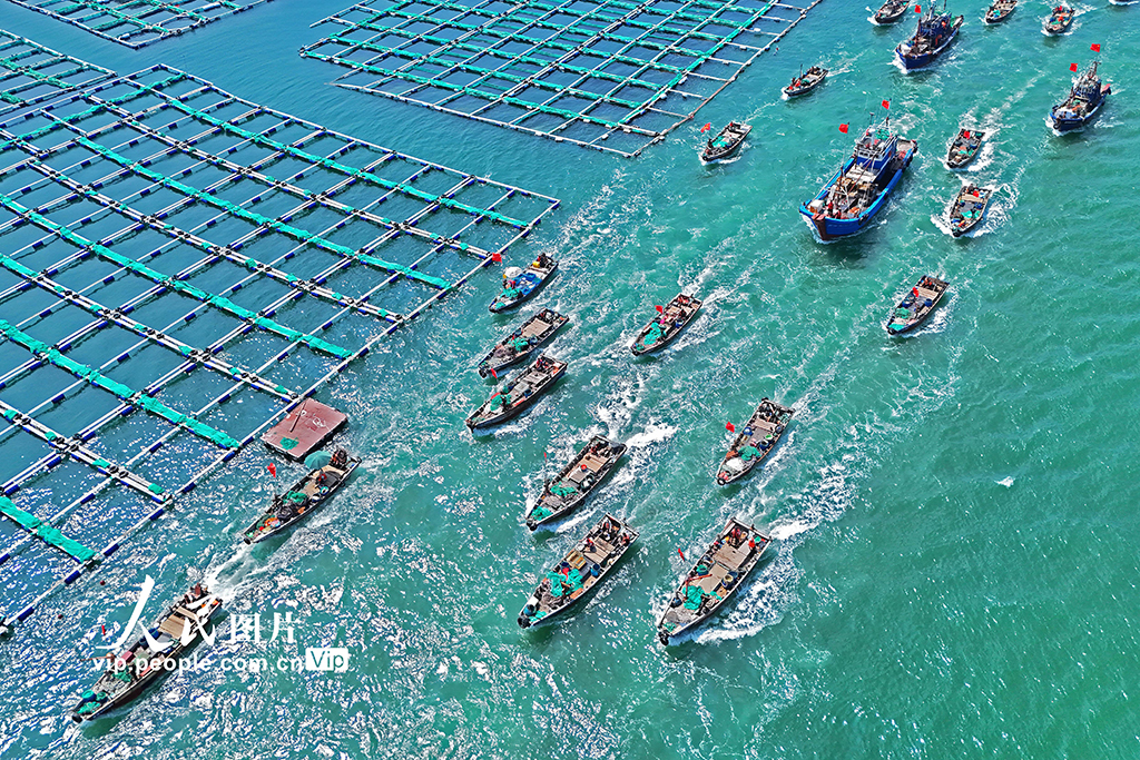 千船竞发耕蓝海【4】