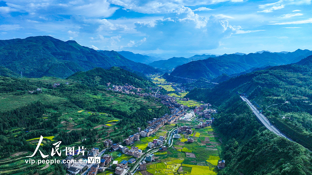 贵州三穗：乡村好“丰”景【3】