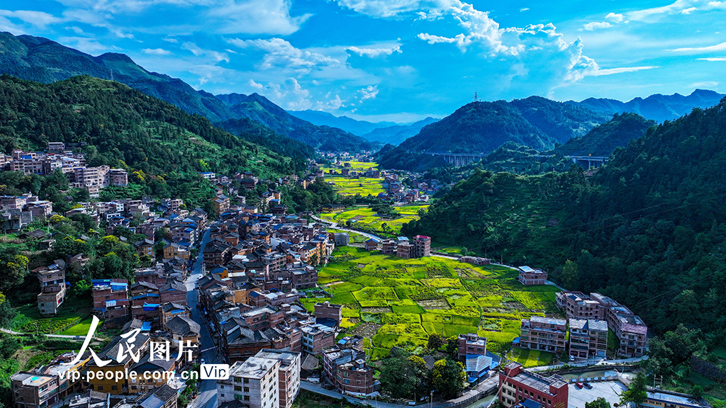 贵州三穗：乡村好“丰”景【2】