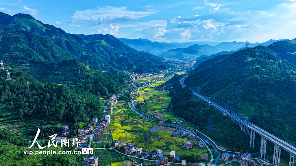 贵州三穗：乡村好“丰”景【4】