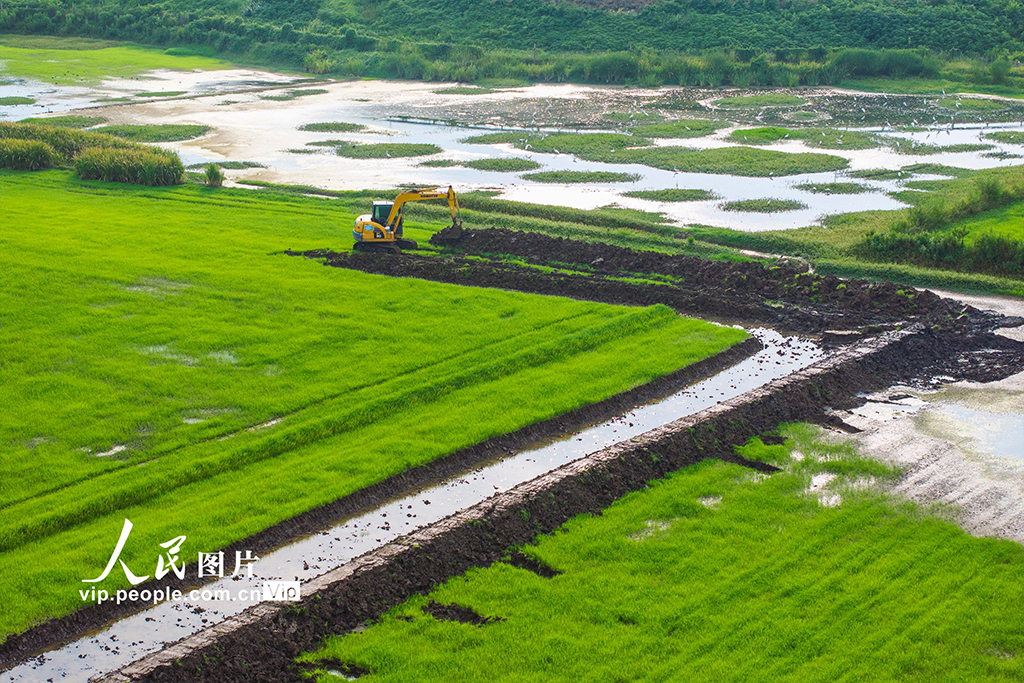 安徽芜湖：兴修水利助力粮田提质增效【5】
