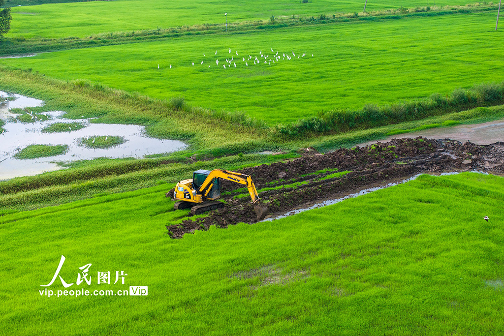 安徽芜湖：兴修水利助力粮田提质增效【6】