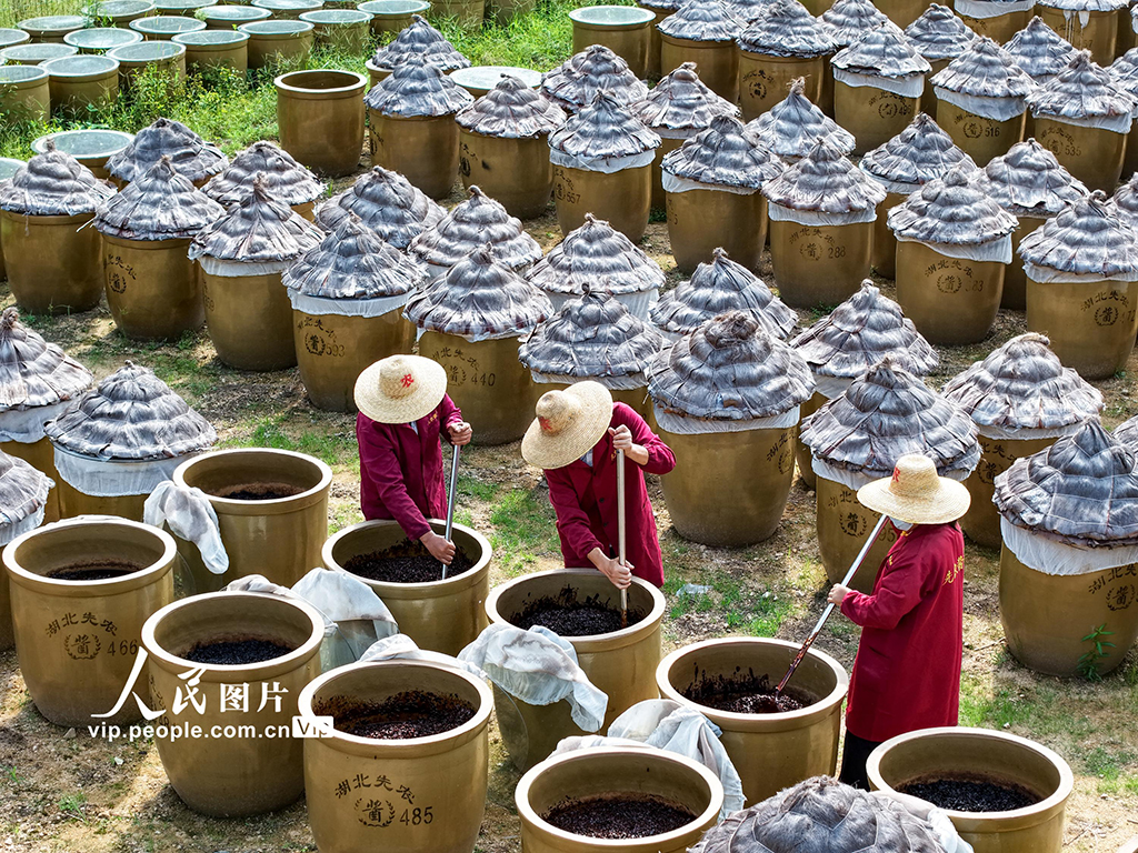 湖北英山：小酱菜 大产业【4】