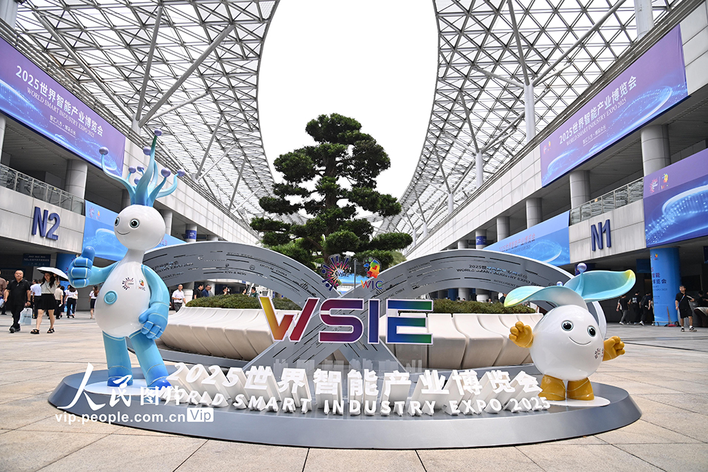 重庆：2025世界智能产业博览会开幕【2】