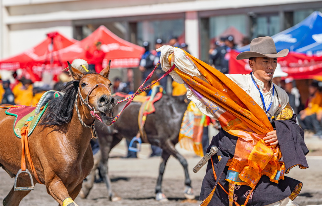 9月6日，马主在比赛结束后领回自家马匹。新华社记者 丁增尼达 摄