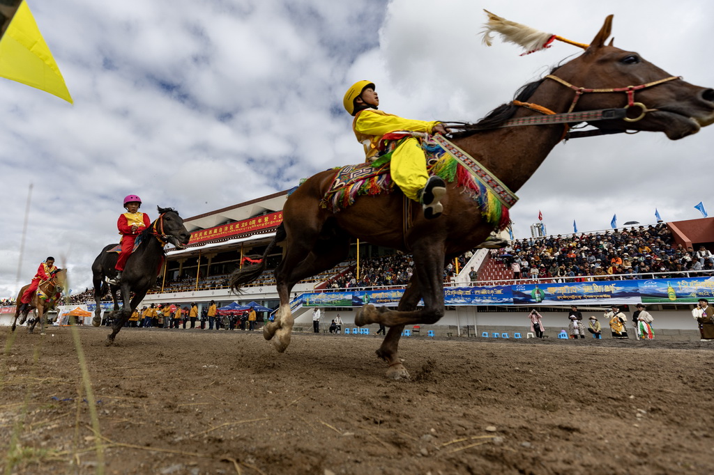 9月6日，骑手们在走马12000米项目中驰骋。新华社记者 姜帆 摄