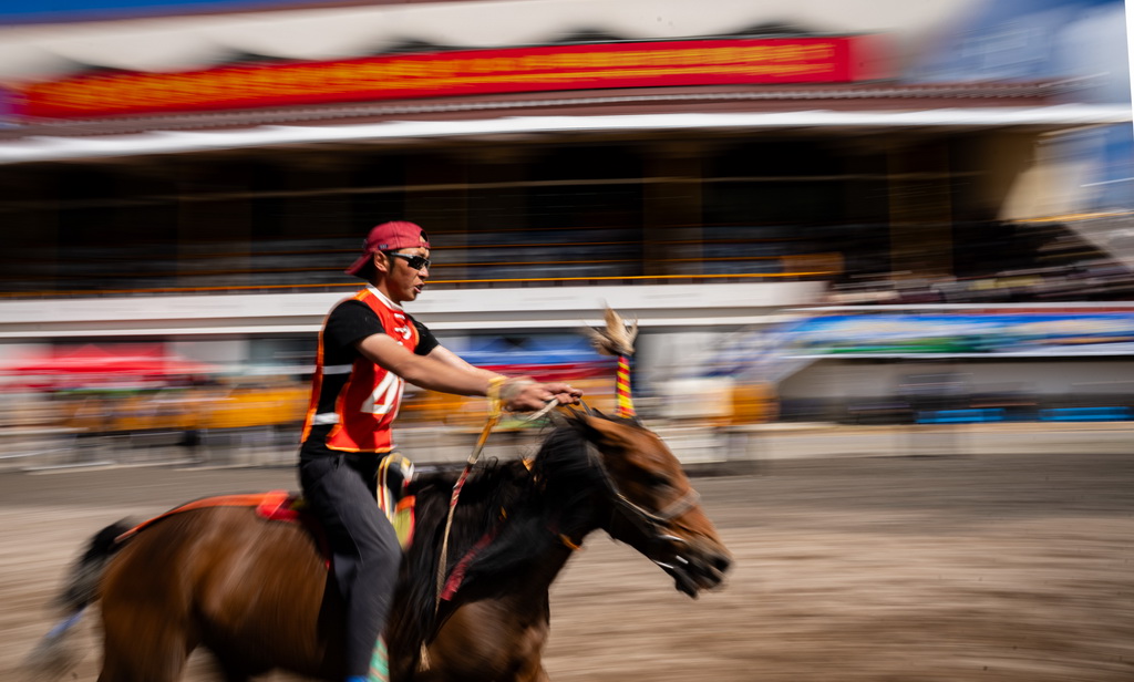 9月6日，骑手在场内走马10000米决赛中。新华社记者 丁增尼达 摄