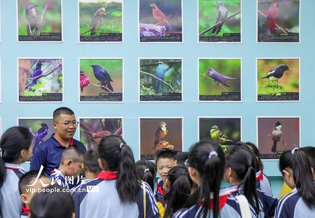 贵州绥阳：第二届布谷鸟杯观鸟科普赛开幕【3】