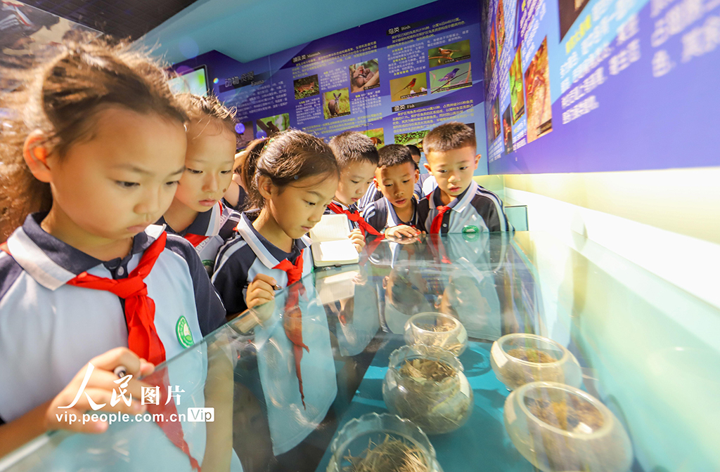 贵州绥阳：第二届布谷鸟杯观鸟科普赛开幕【4】