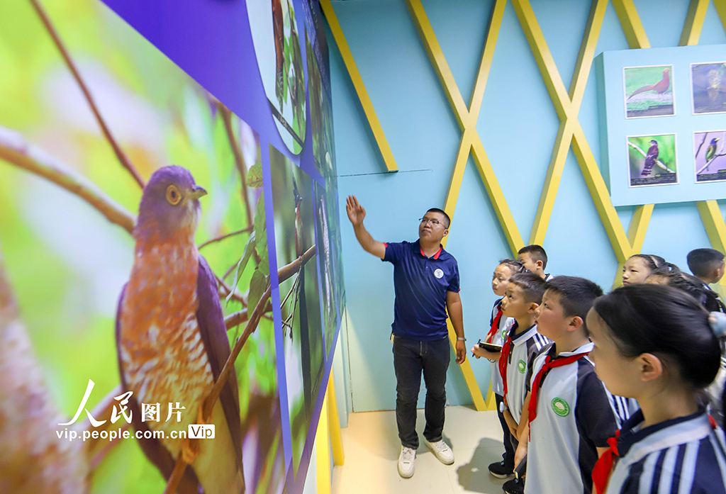 贵州绥阳：第二届布谷鸟杯观鸟科普赛开幕【5】