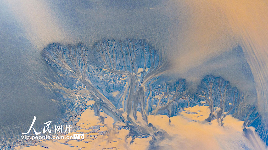 钱塘江现“潮汐树”景观【5】