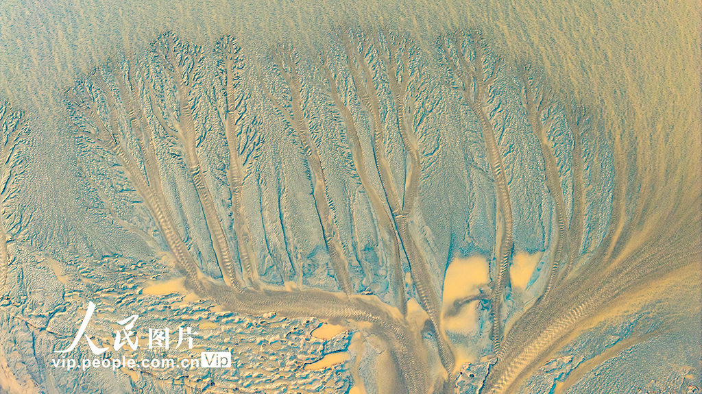 钱塘江现“潮汐树”景观【4】