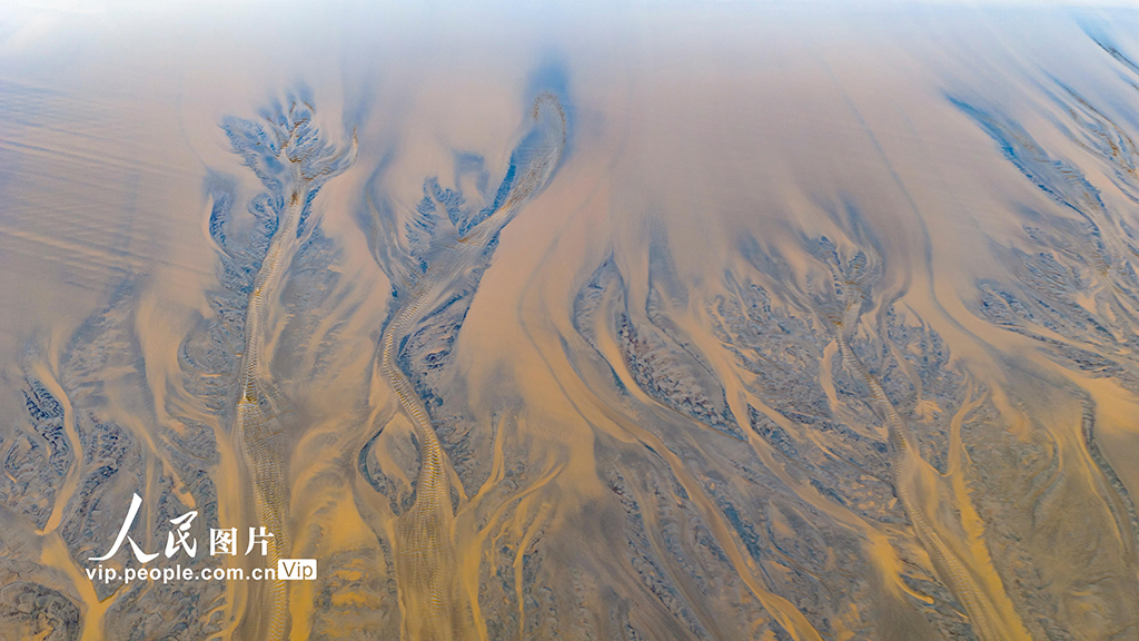 钱塘江现“潮汐树”景观【2】