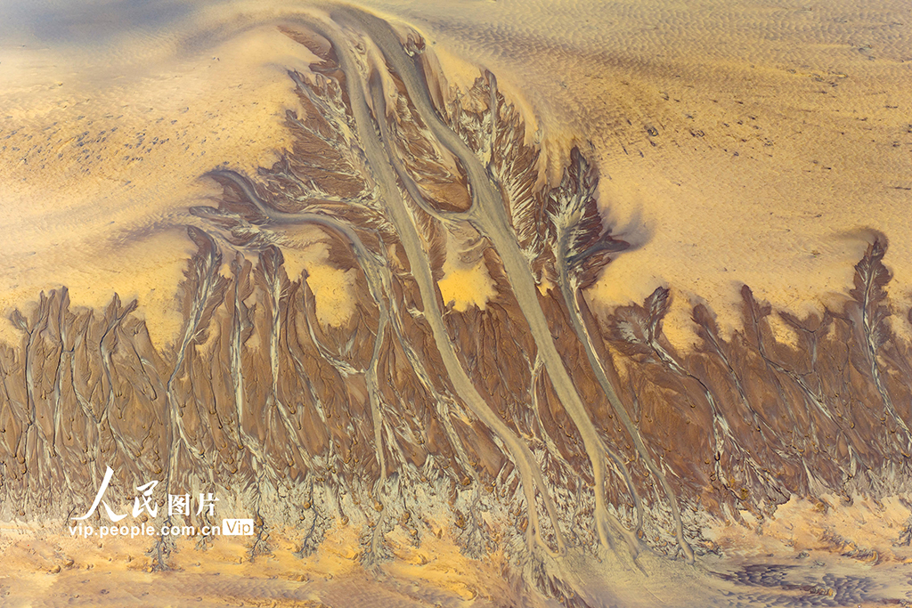 钱塘江现“潮汐树”景观【6】