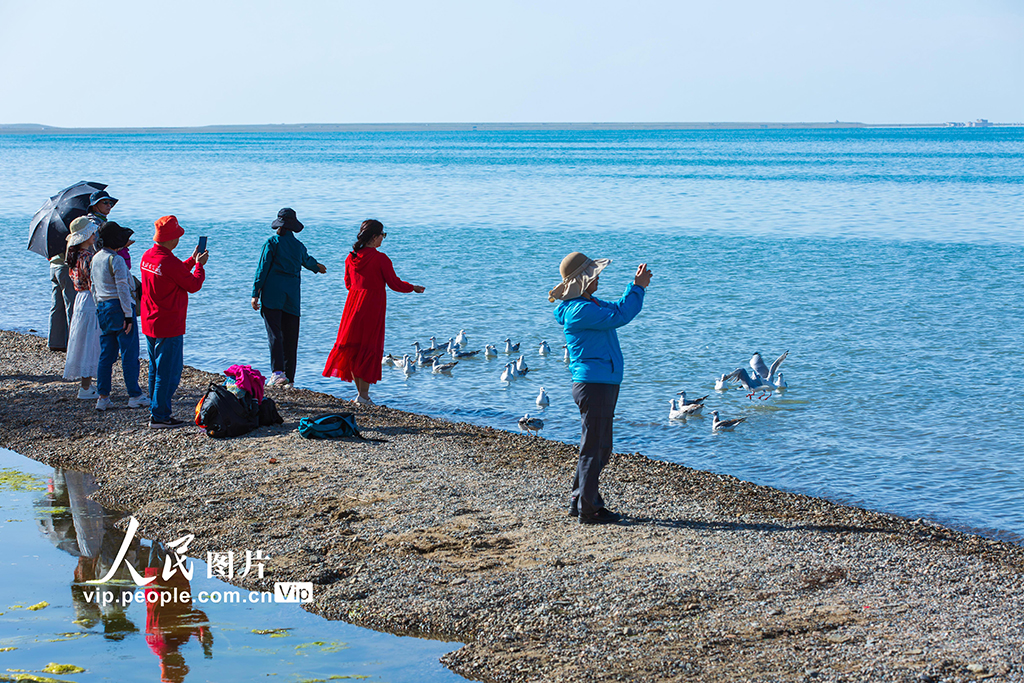 青海湖美景引客来【8】