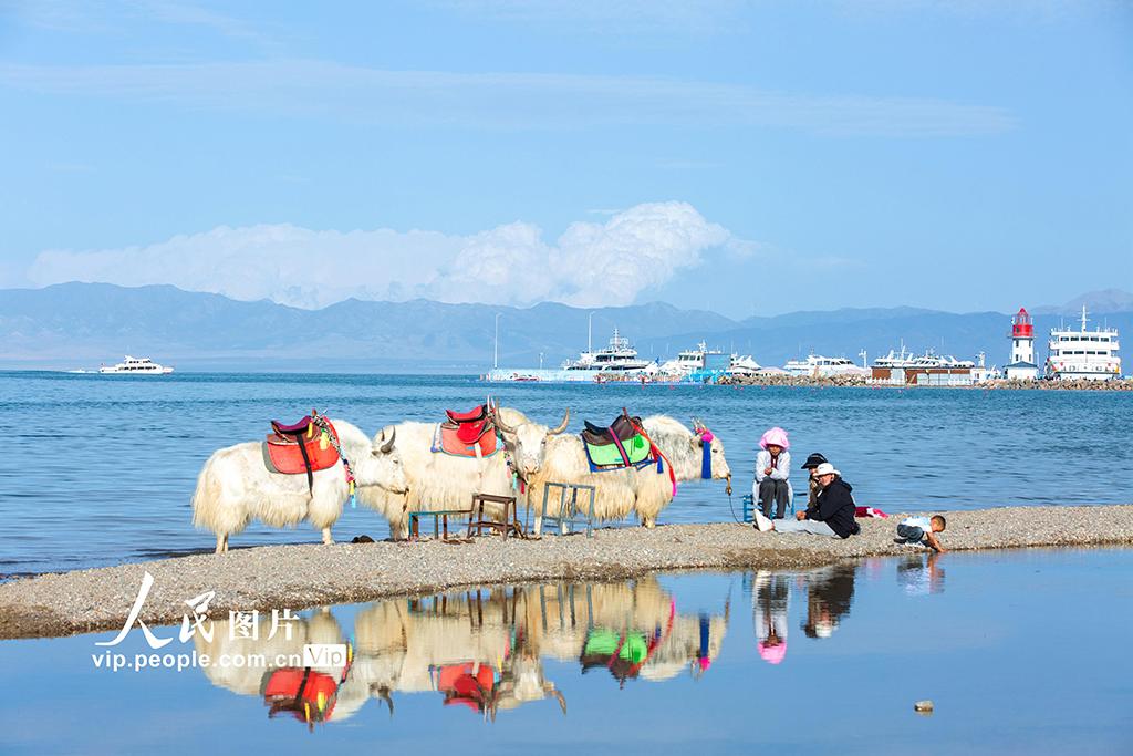 青海湖美景引客来【9】