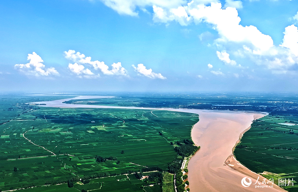 7月24日，黄河河南封丘段。作为黄河下游重要的生态廊道，近年来，封丘县在筑牢防汛安全屏障的同时，大力实施植被恢复、水土保持等生态工程，黄河封丘段56公里的黄河沿岸已形成1.2万亩生态林带，林木覆盖率较十年前提升了18%。人民网记者 王玉兴摄