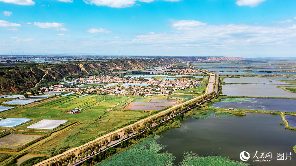 被誉为“多彩渔村”的陕西省渭南市大荔县范家镇华原村，地处黄河湿地核心区，毗邻沿黄公路&nbsp;。村落依托十万亩湿地资源，形成渔业养殖、莲藕种植与乡村旅游融合的产业格局， 从传统渔村转型为集生态观光、文化体验、农业产业于一体的“童话渔村”，是渭北地区极具吸引力的乡村旅游目的地，也是陕西乡村振兴与文旅融合的典范之一。人民网记者 李志强摄