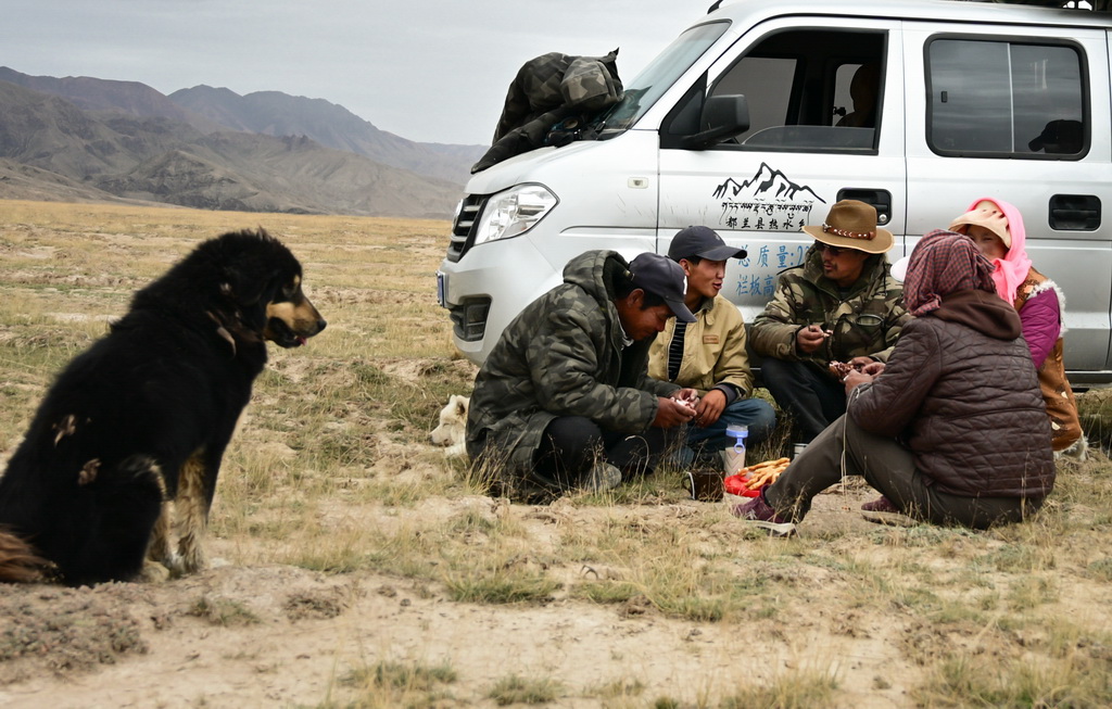 9月9日，在青海省海西蒙古族藏族自治州都兰县，牧民龙宫一家人在转场休息时吃午饭。